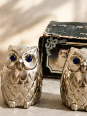 Salt and pepper set owl-shaped, like new