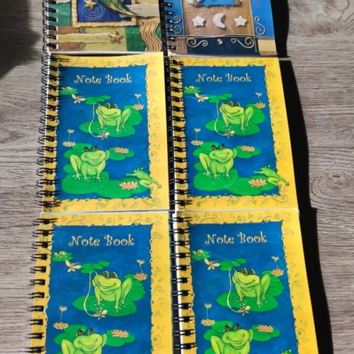 Small spiral notebooks, pack