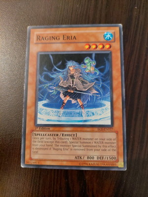 Yu-Gi-Oh Raging Eria card