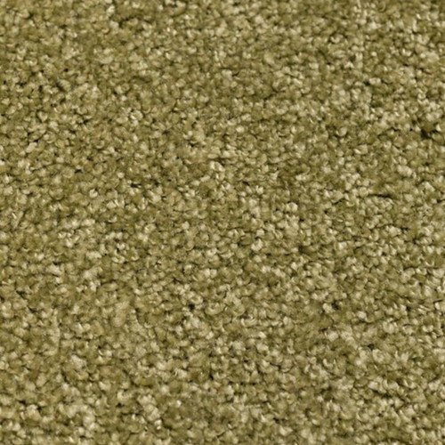Green carpet like new with soft texture and extra mats included