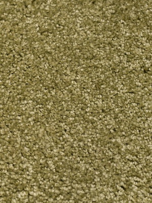 Green carpet like new with soft texture and extra mats included