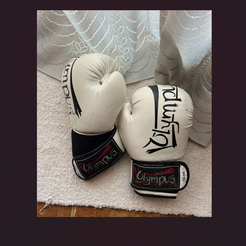 Force1 20oz and Olympus 12oz gloves set with shin guards, shorts, and groin guard like new