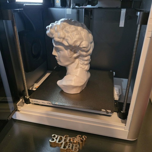 David bust by Michelangelo 3d printed new, about 20cm