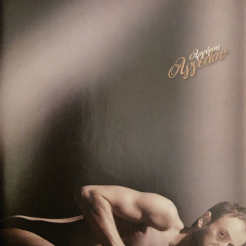 Down Town Naked 2010 collectible magazine
