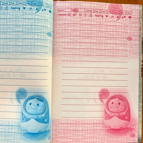 Diary in lockable box new