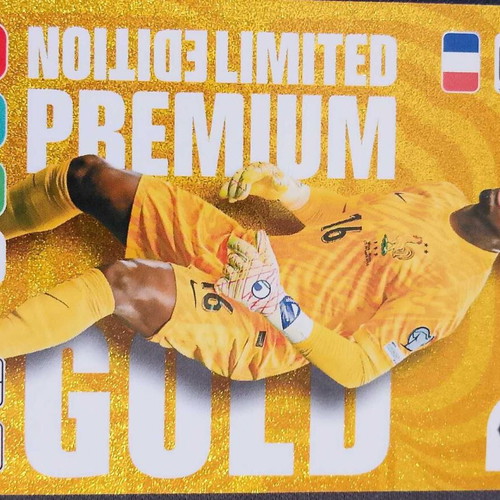 Mike Maignan Limited Edition Premium Gold card like new