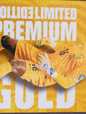 Mike Maignan Limited Edition κάρτα Premium Gold σαν καινούργιο