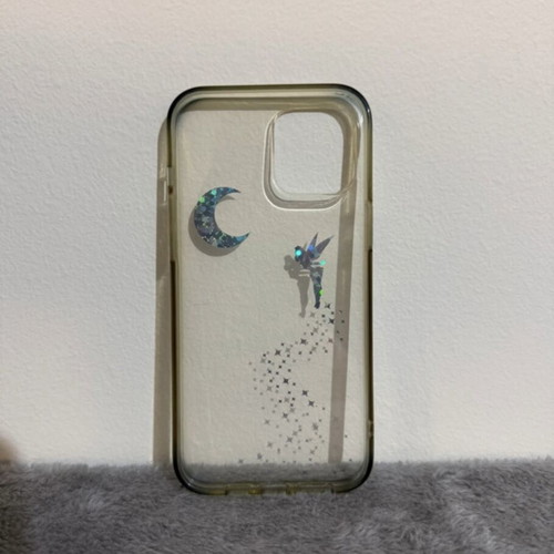iPhone 12 Pro Max hard case