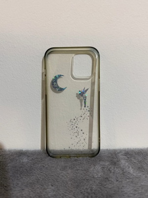 iPhone 12 Pro Max hard case