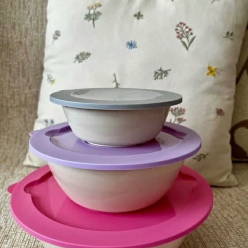 Set of three food storage containers new