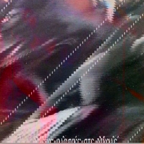 ΜΕ ΕΝΑ ΦΛΑΣΑΚΙ ΣΤΟ ΜΥΑΛΌ-ΓΙΑΝΝΗΣ ΒΟΥΡΟΣ ΒΙΒΛΊΟ