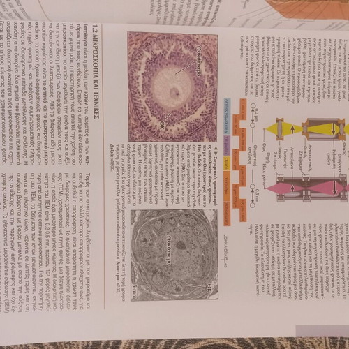 Histology book like new