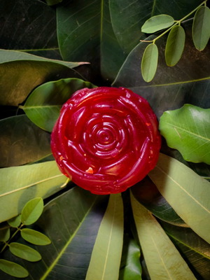 Βιολογικό σαπούνι με τριαντάφυλλα νέο