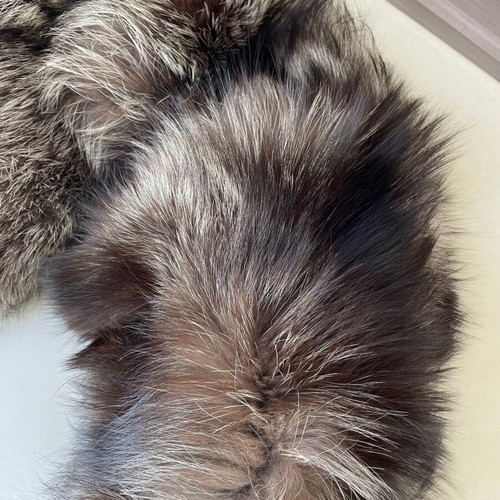 Fox fur collar silver like new