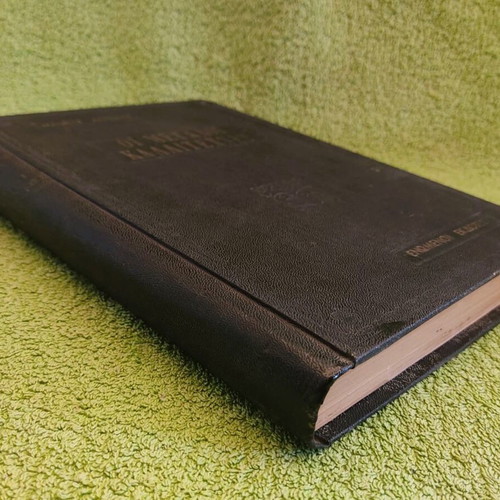 The Great Artists by Maurice Antonie used art book 1963