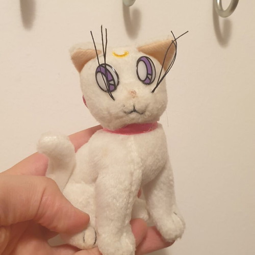 Sailor Moon Artemis Cat plush used
