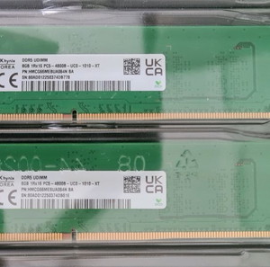 2x8gb Ram DDR5