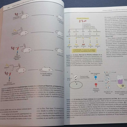 Basic Principles of Cell Biology 4th Edition like new, Greek