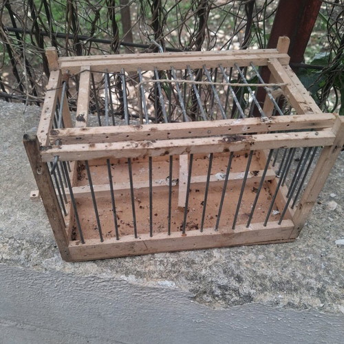 10 wooden cages and 3 traps and 1 iron