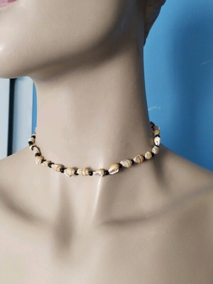 Necklace made of real shells new