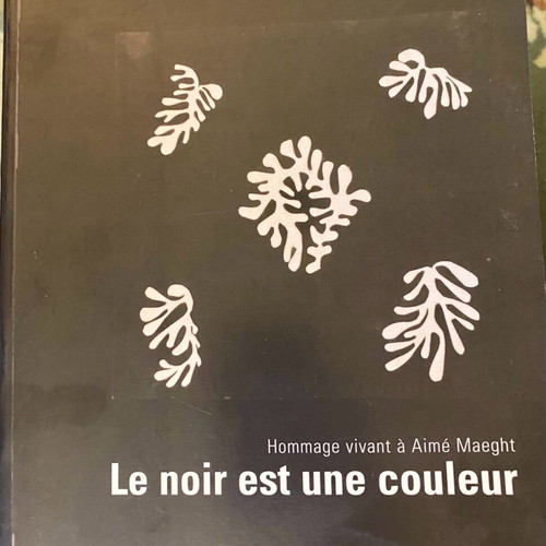 Le noir est une couleur book like new, French