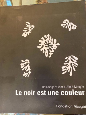 Le noir est une couleur βιβλίο σαν καινούργιο, γαλλικά