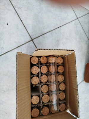 Glass tubes for bomboniera new, pack of 200 pieces