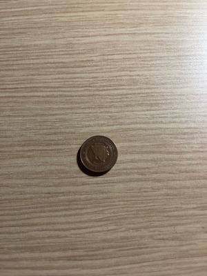 Rare Bosnia and Herzegovina coin new