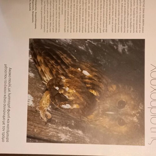 Fterotos Kosmos photography book used