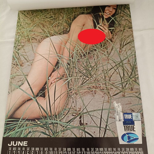 Kent Newport True rare 1971 wall calendar with semi-nude models like new