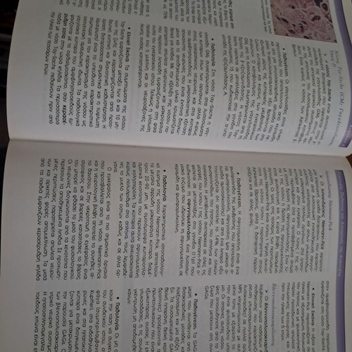 Basic Pathological Anatomy Volume 1 used, Greek