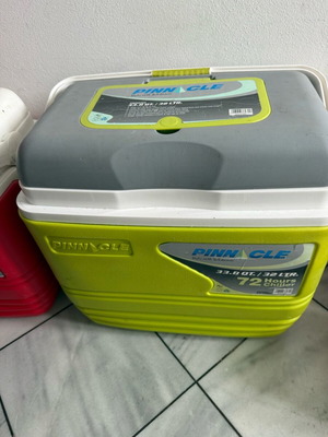 Pinnacle Primero φορητό ψυγείο 32lt πράσινο σαν καινούργιο