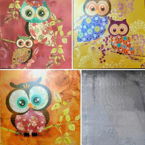 Set of 3 decorative owl frames 30x30 cm like new