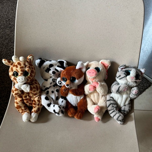 Set of 5 used Ty dolls