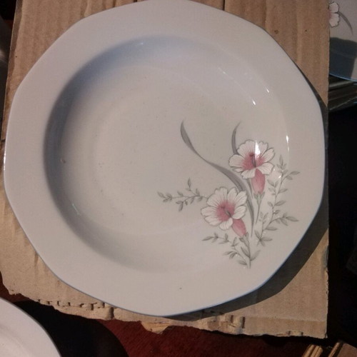 Bavarian porcelain dinnerware set new, 70 pieces
