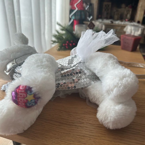 Doggie Star Bag Like New White With Silver Sequin
