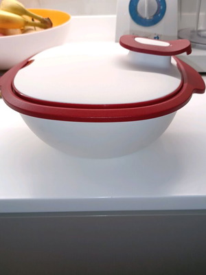 Tupperware container with double wall new