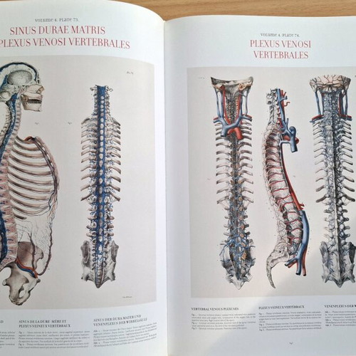 Atlas of Human Anatomy and Surgery TASCHEN like new