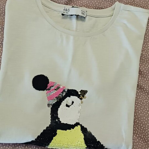 Clothing set with color-changing sequin t-shirt and sweatshirt pants like new
