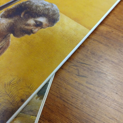 Pack of illustrated children's books Tom Sawyer and Robinson Crusoe used