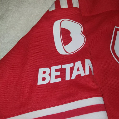 Adidas Benfica Jersey Size L New Original 2023/24