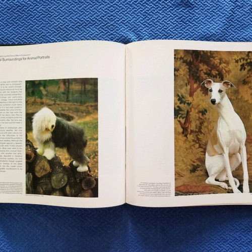 Book used, English language