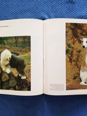 Book used, English language