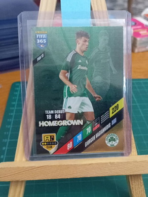 Κάρτα Panini FIFA 365 Adrenalyn XL 2024 σαν καινούργιο, PAN 15