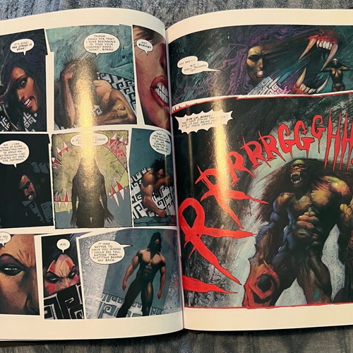 Sláine the Horned God hardcover comic like new, English
