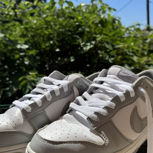 Nike Dunk Low Retro men's shoes size 45 white light smoke grey