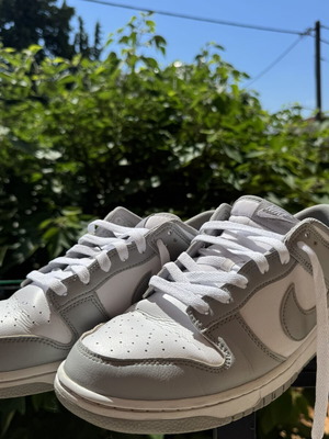 Nike Dunk Low Retro men's shoes size 45 white light smoke grey