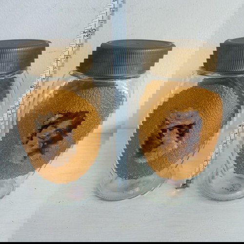 Δύο βάζα διακοσμημένα με το χέρι