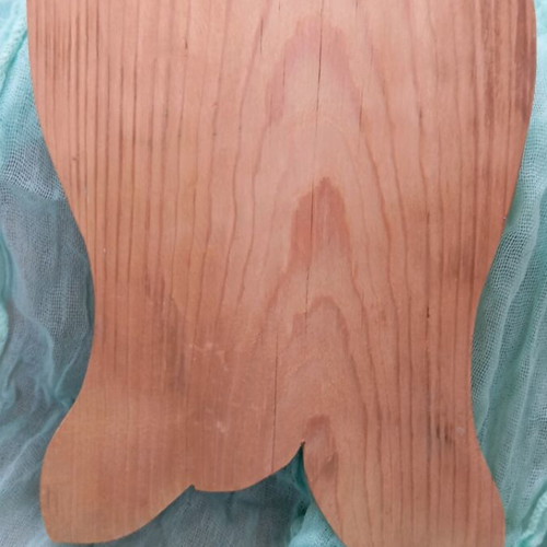 Painting on wood 17x27 cm new