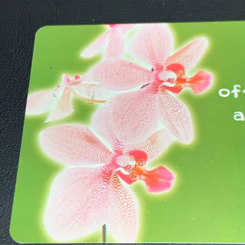 Telecom Italia Orchidea L. 2,500 used phone card